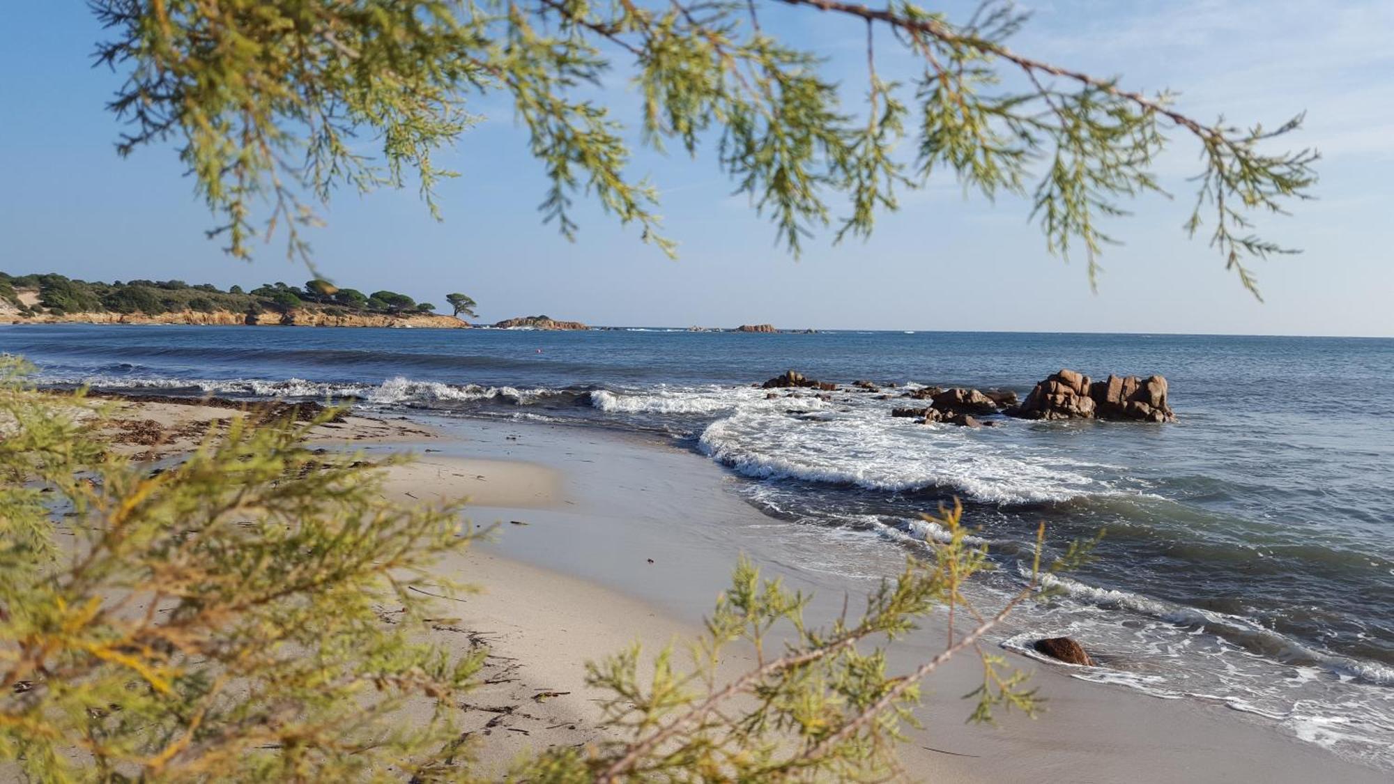 Locations Residence Rocca Rossa Palombaggia Classees 3 Etoiles Porto-Vecchio  Bagian luar foto
