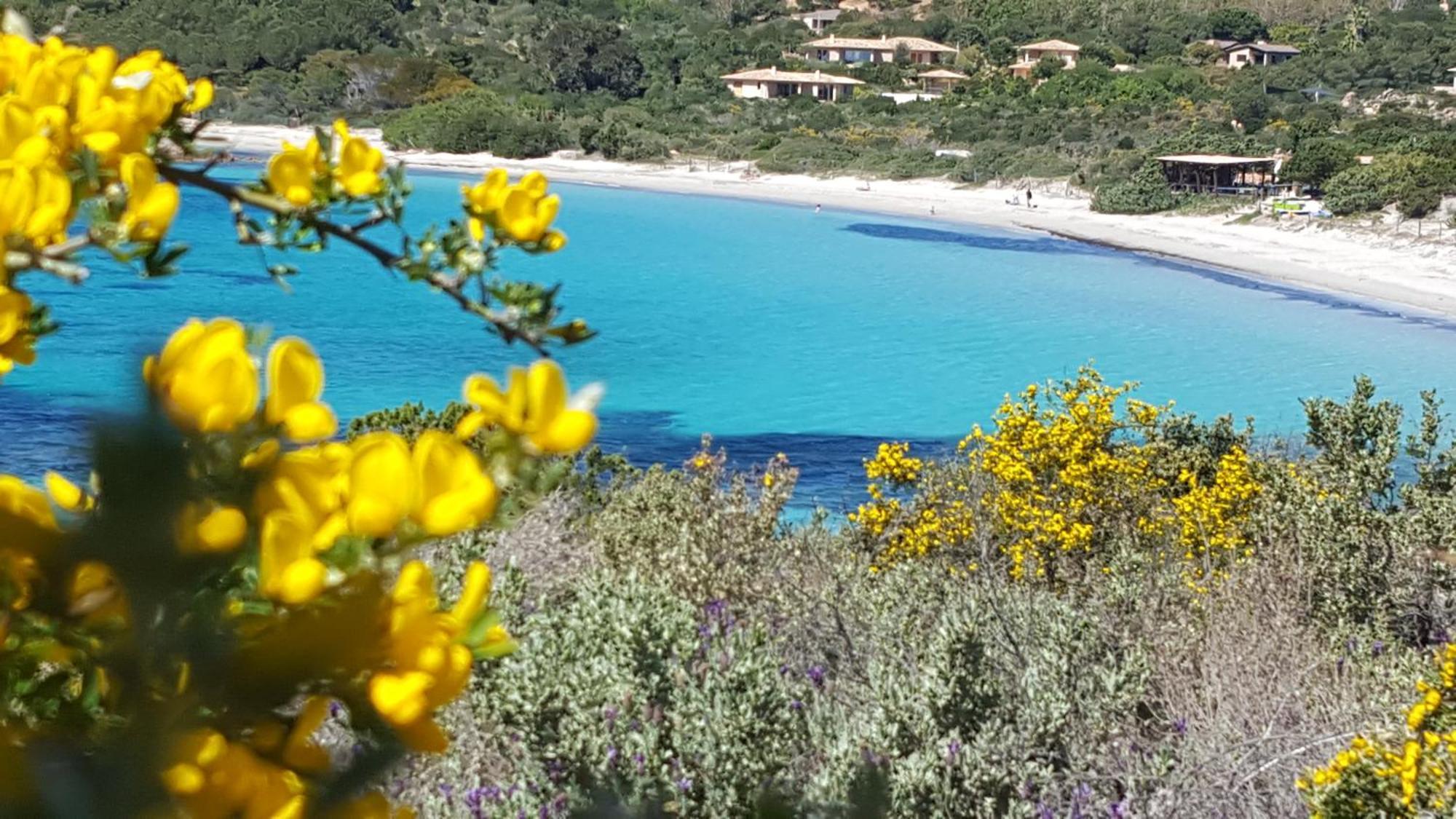 Locations Residence Rocca Rossa Palombaggia Classees 3 Etoiles Porto-Vecchio  Bagian luar foto